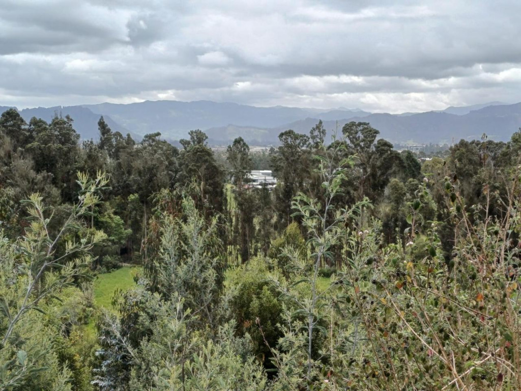 Lote En Venta - Altos De Yerbabuena, Bogotá