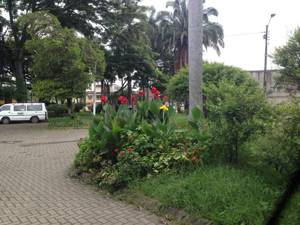 Casas Con Local En Venta - Central, Palmira