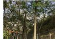 Lote En Venta - Normandia, Cali