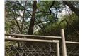 Lote En Venta - Normandia, Cali