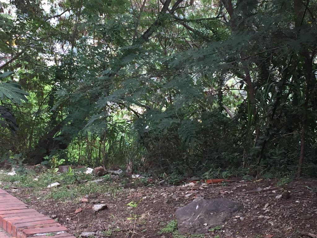 Lote En Venta - Mameyal, Cali