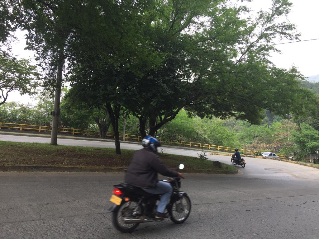 Lote En Venta - Mameyal, Cali