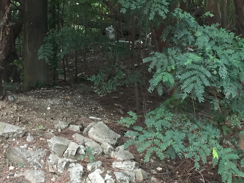 Lote En Venta - Mameyal, Cali