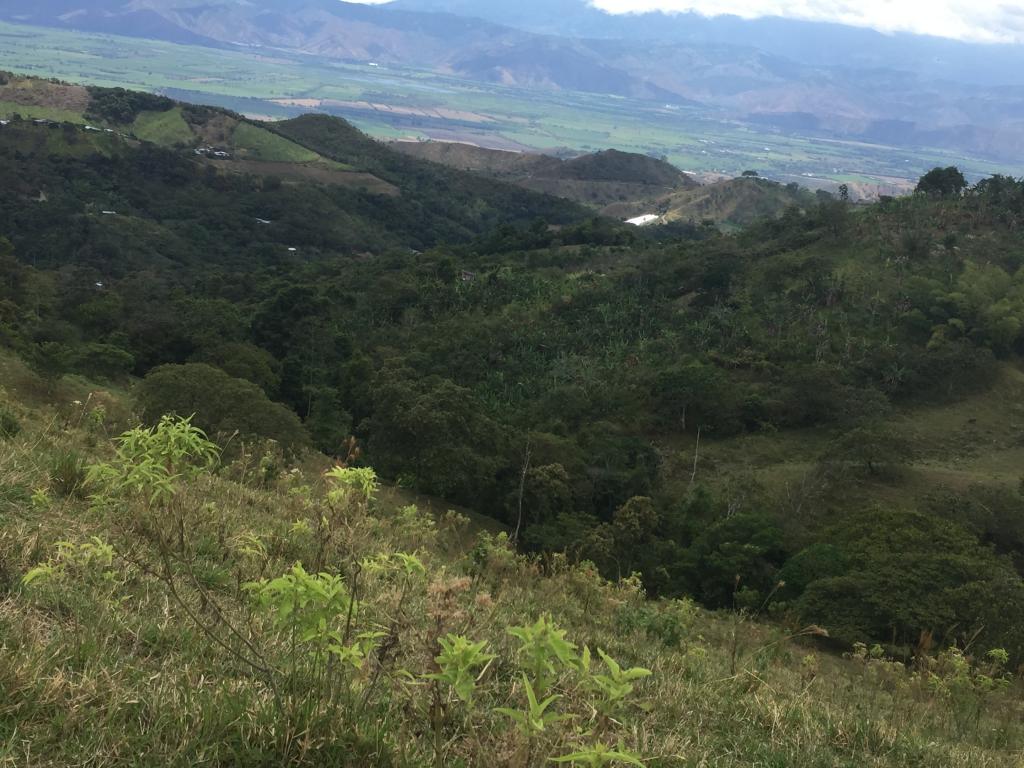 Finca En Venta - Corregimiento De Monte Rey, Guadalajara De Buga