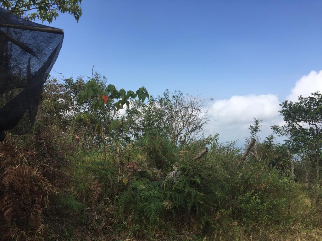 Finca En Venta - Corregimiento De San Isidro, Pradera