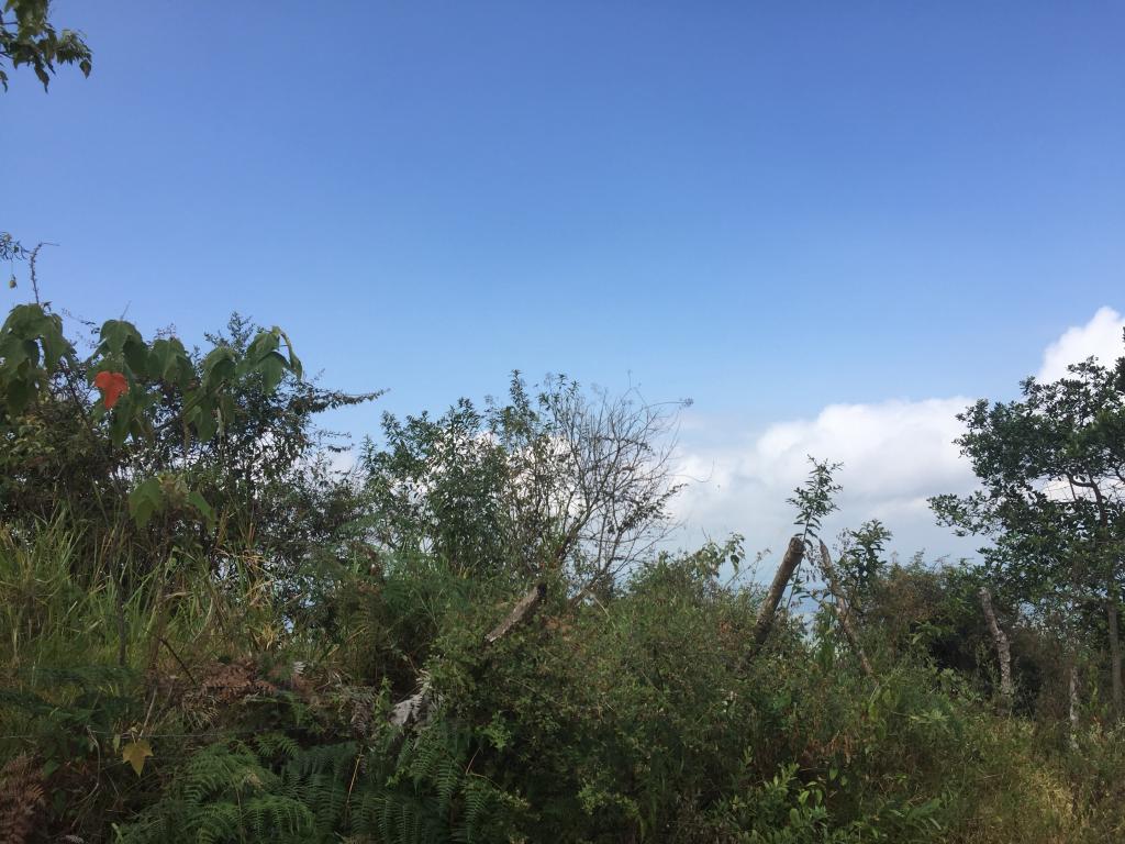 Finca En Venta - Corregimiento De San Isidro, Pradera