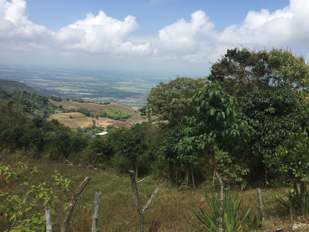 Finca En Venta - Corregimiento De San Isidro, Pradera