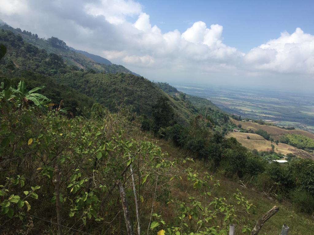 Finca En Venta - Corregimiento De San Isidro, Pradera