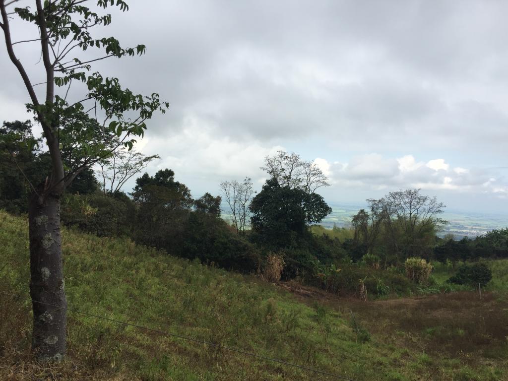 Finca En Venta - Corregimiento De San Isidro, Pradera