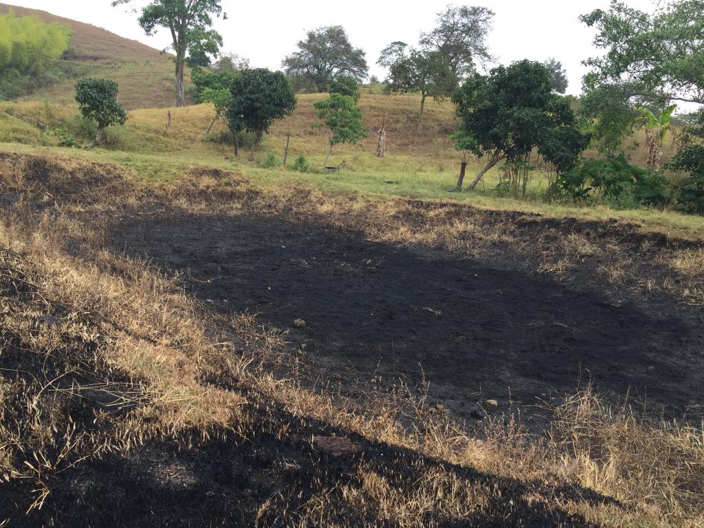 Finca En Venta - Corregimiento De San Isidro, Pradera