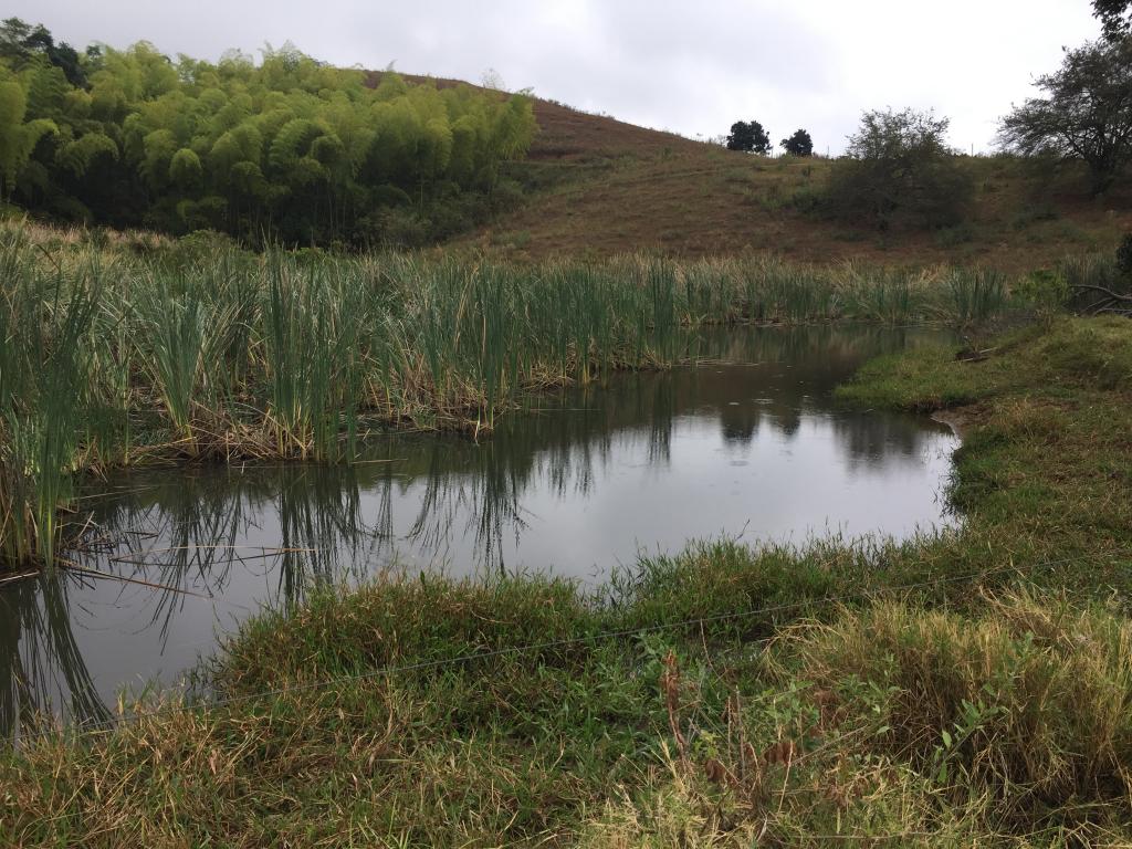 Finca En Venta - Corregimiento De San Isidro, Pradera