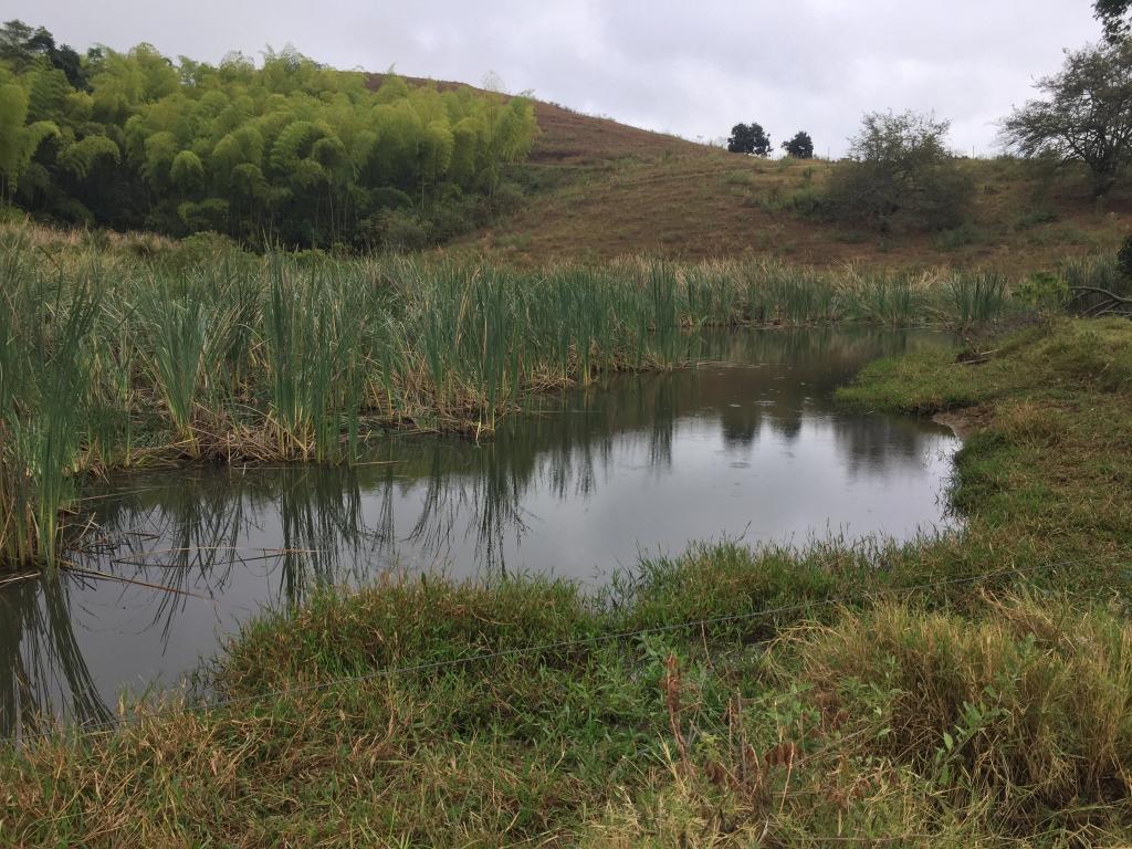 Finca En Venta - Corregimiento De San Isidro, Pradera