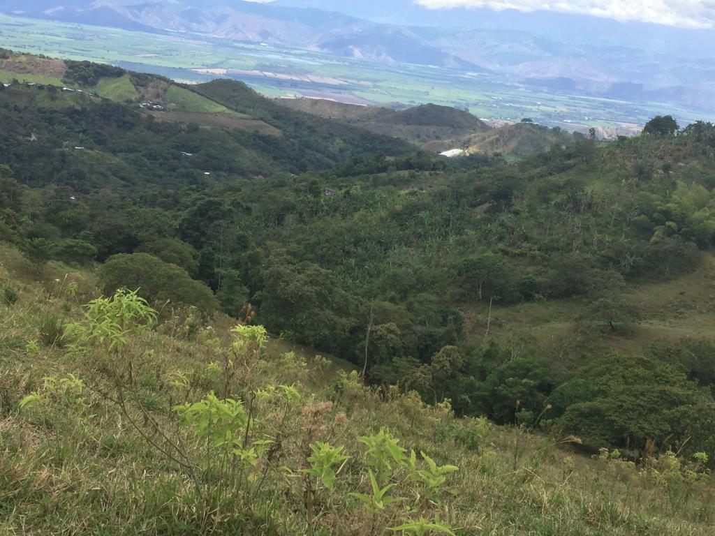 Finca En Venta - Municipio De Piendamo Cauca, Piendamo