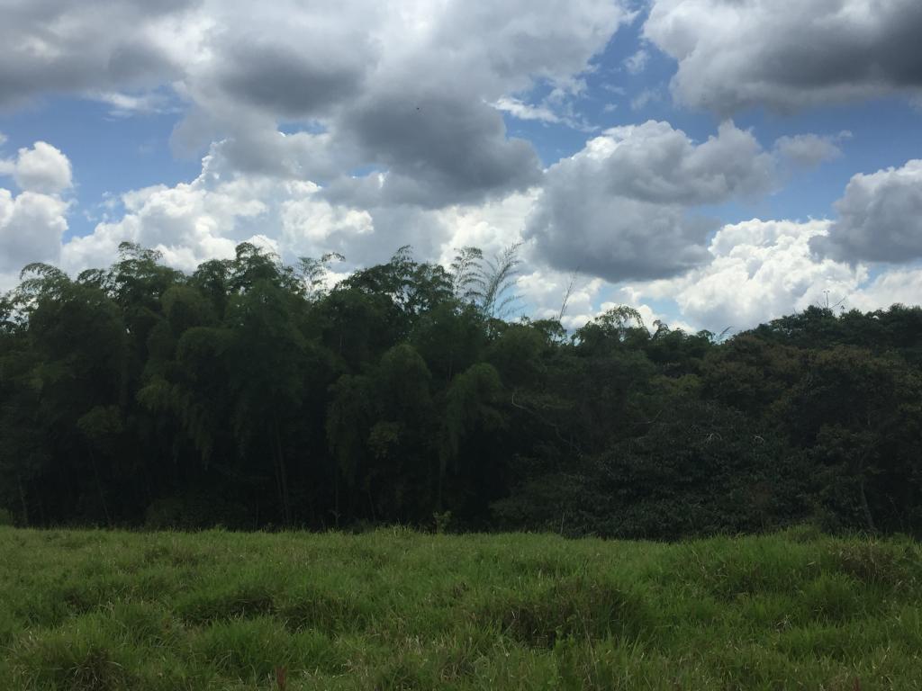 Finca En Venta - Municipio De Piendamo Cauca, Piendamo