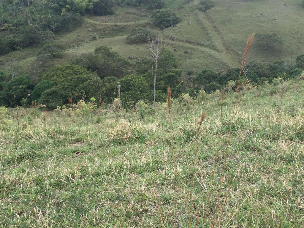 Finca En Venta - Municipio De Piendamo Cauca, Piendamo
