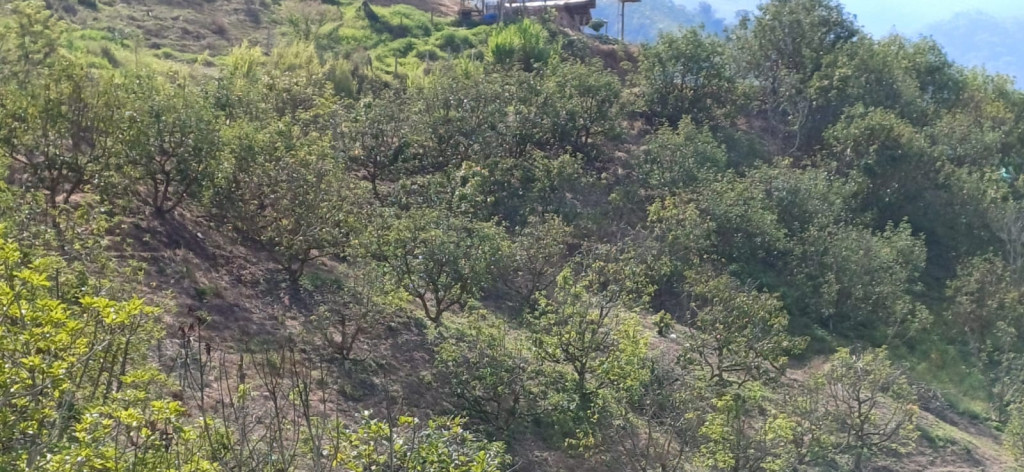 Lote En Venta - Parcelacion Monaco, Cali