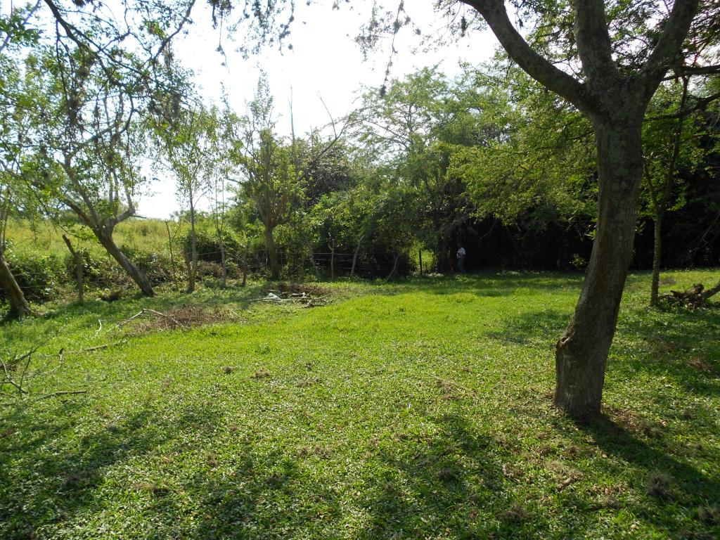Lote En Venta - Pance, Cali