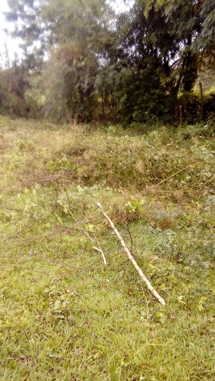 Lote En Venta - Pance, Cali