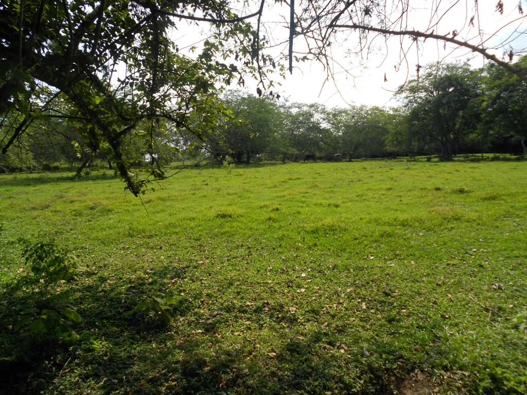 Lote En Venta - Pance, Cali