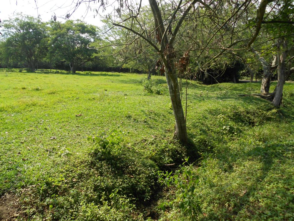 Lote En Venta - Pance, Cali