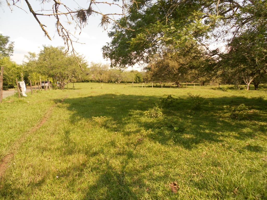 Lote En Venta - Pance, Cali