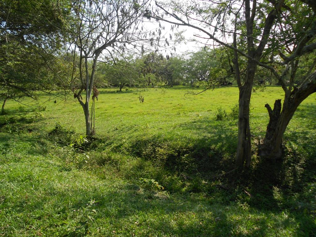 Lote En Venta - Pance, Cali