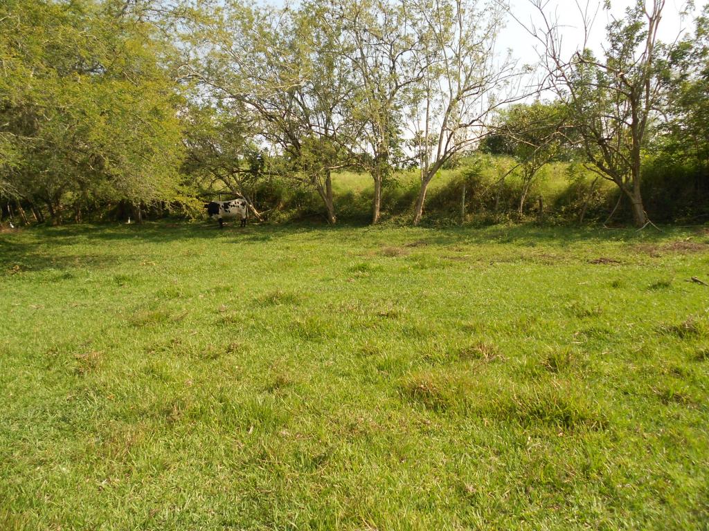 Lote En Venta - Pance, Cali