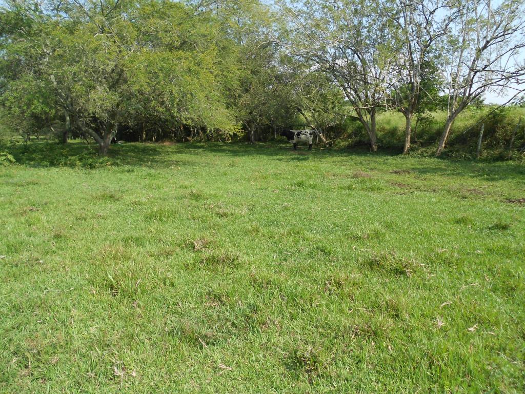 Lote En Venta - Pance, Cali