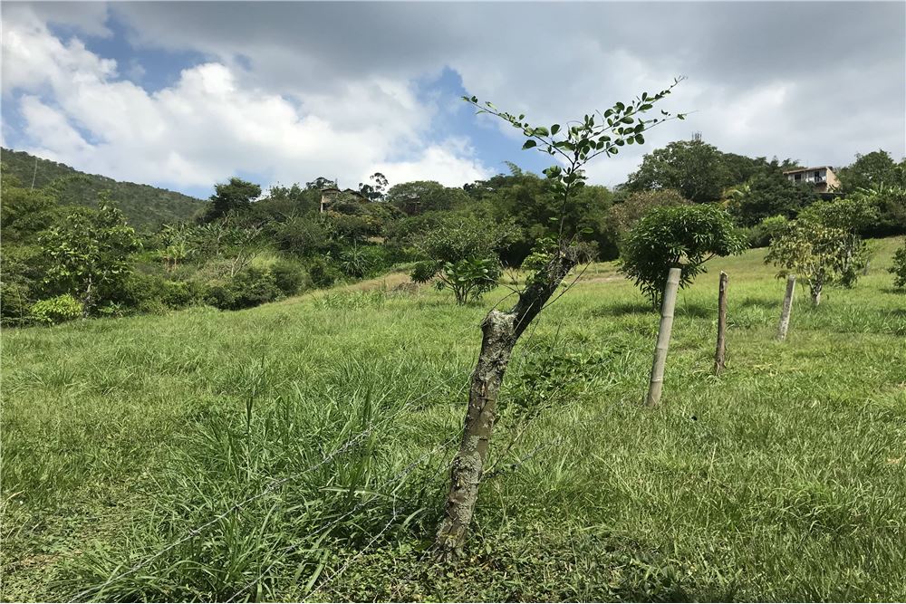 Casalotes En Venta - Montebello, Cali