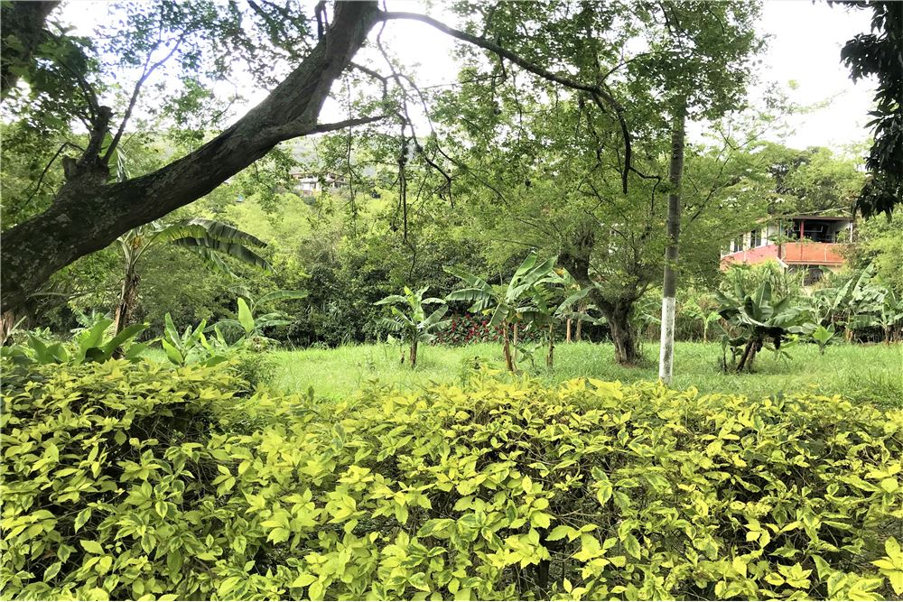 Casalotes En Venta - Montebello, Cali