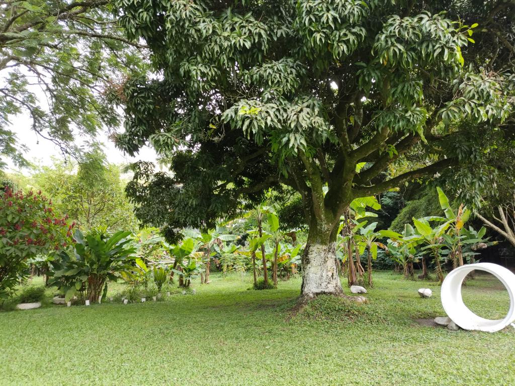 Casalotes En Venta - Montebello, Cali