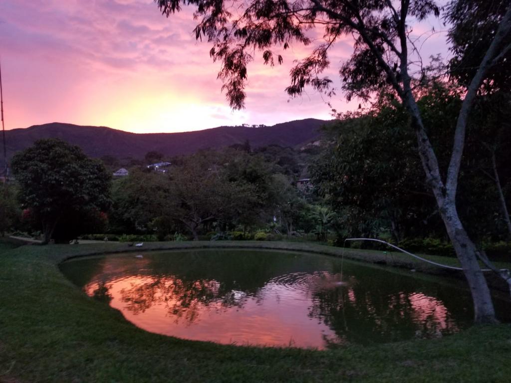 Casalotes En Venta - Montebello, Cali