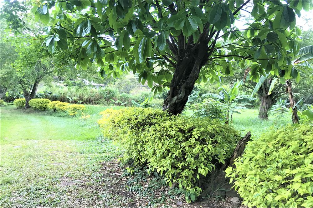 Casalotes En Venta - Montebello, Cali