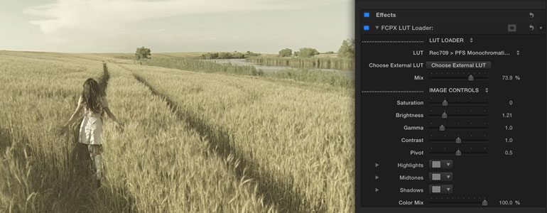 Professional - Color Grading LUT Presets for Final Cut Pro X