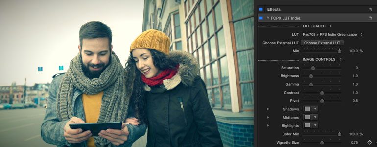 Professional - Color Grading LUT Presets for Final Cut Pro X