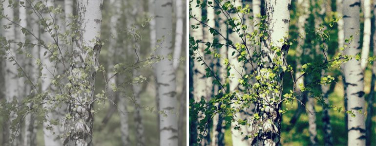 Professional - Color Grading LUT Presets for Final Cut Pro X