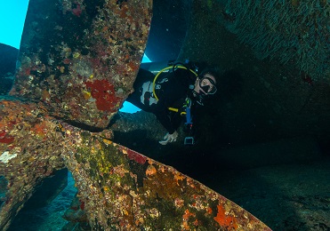 Product 2 Tank Certified Wreck &amp; Reef Dive