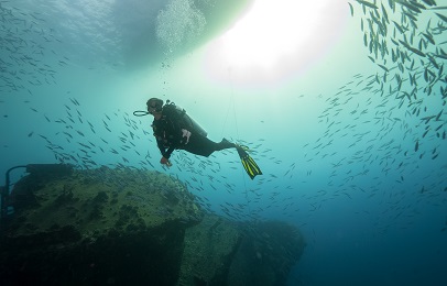 Product 2 Tank Certified Wreck &amp; Reef Dive