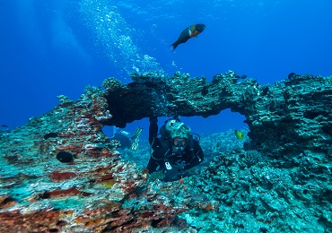 Product Intro Dive 1 Tank