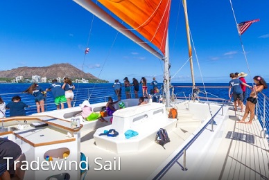 Product Tradewind Sail- Waikiki