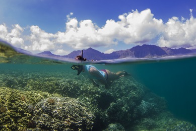 Product Holokai Kayak and Snorkel Adventure 3hrs