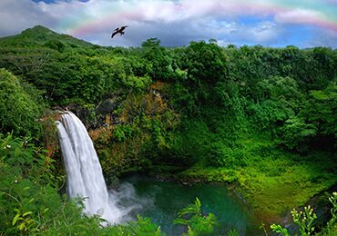 Product Kauai Shared: Hawaii Movie Tours