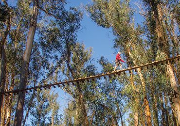 Product Zipline Slopes of Haleakala 5 Lines