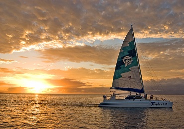 Product Holo Holo Sunset Cocktail Sail