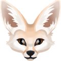 :fennec_fox_ziphi: :fennec_fox_ziphi:
