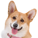 :corgi: :corgi: