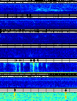 Spectrogram for Portland at 2025/10/12 08:50 GMT+0