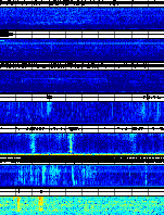 Spectrogram for Portland at 2025/10/12 12:00 GMT+0