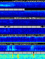 Spectrogram for Portland at 2025/10/12 12:30 GMT+0