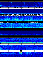 Spectrogram for Puget Sound at 2025/10/12 12:20 GMT+0